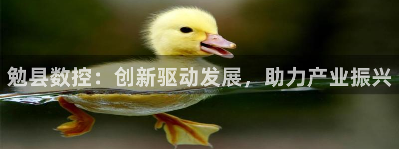 天辰娱乐44616