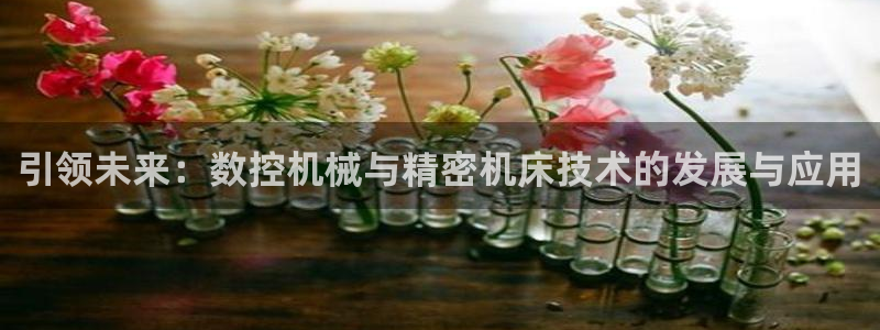 天辰臣娱乐