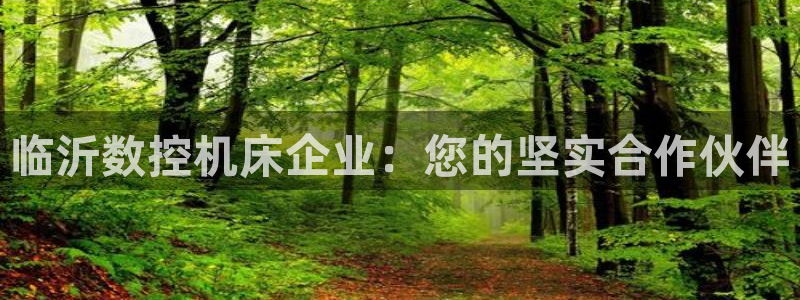 nba天辰娱乐