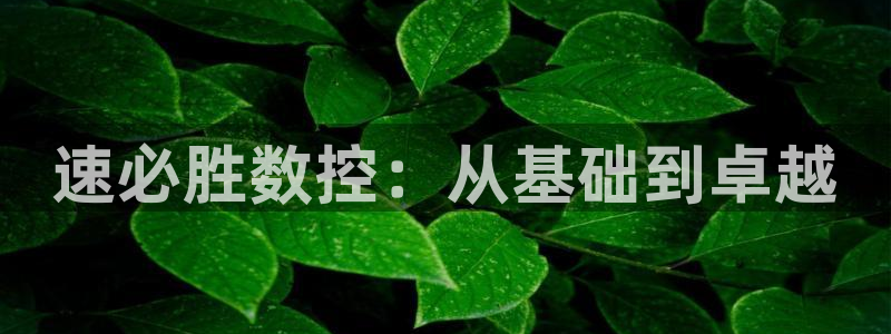 天辰娱乐指定