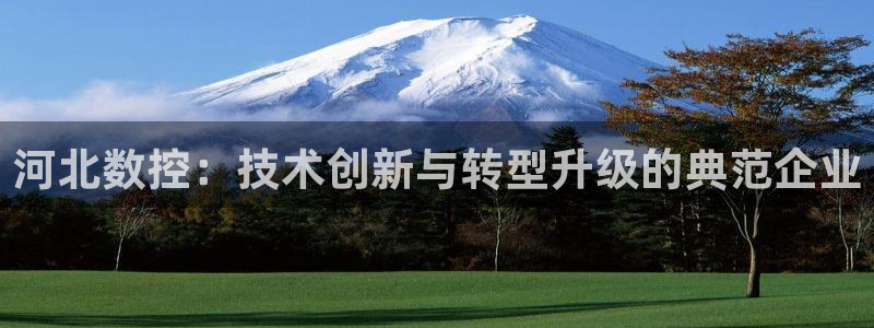 天辰娱乐60447