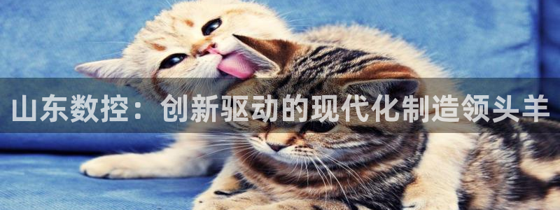 天辰娱乐文案