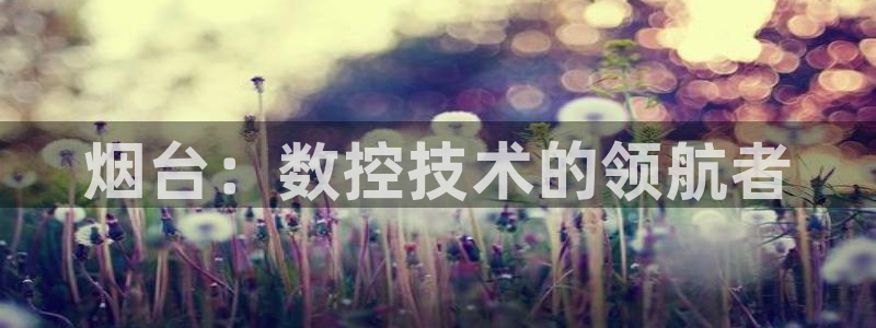 天辰娱乐小姐