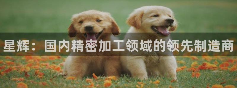 天辰 娱乐注册