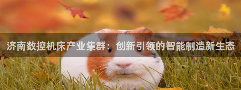 广东天辰娱乐