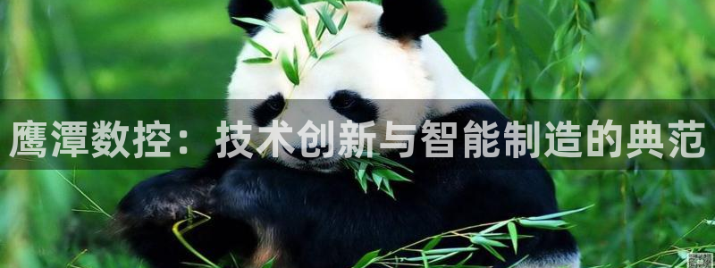 天辰娱乐 天辰平台