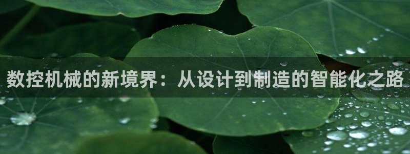 天辰宝娱乐