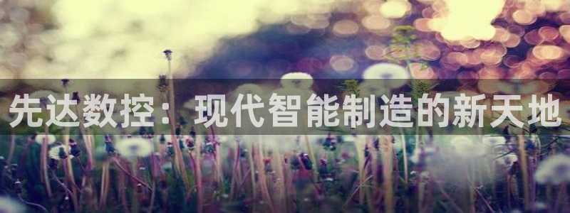 天辰娱乐元宝