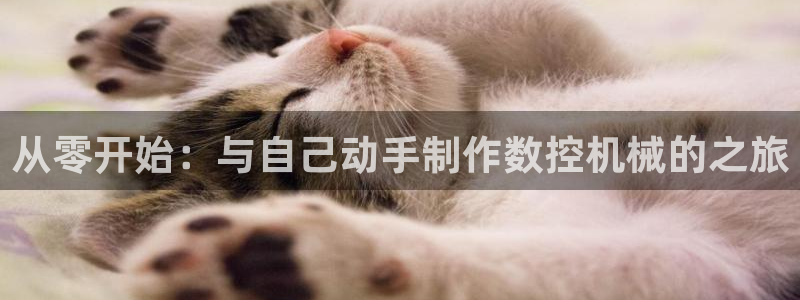南充天辰娱乐