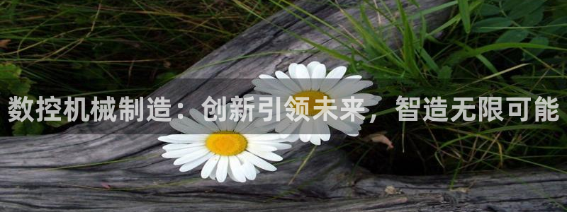 天辰娱乐51137