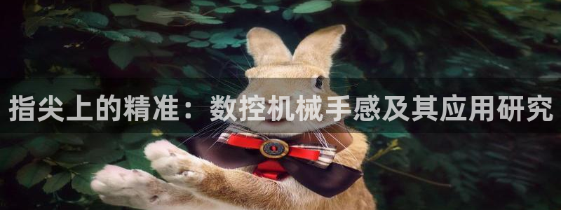 天辰娱乐上级