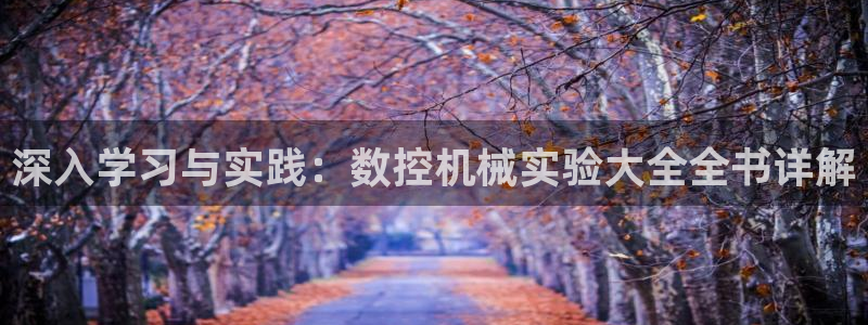 娱乐ktv天辰