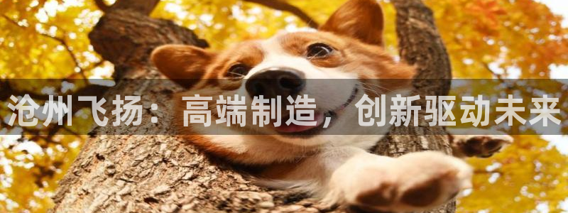 天辰娱乐 231639