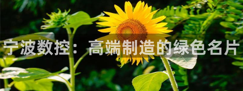 天辰娱乐官方网