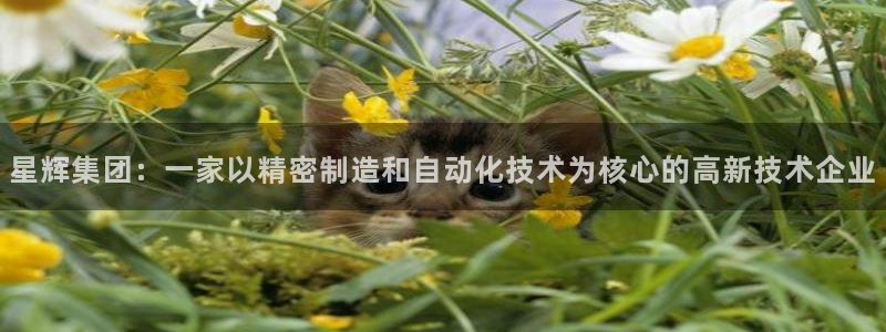 天辰娱乐文化