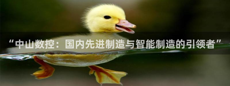 天富娱乐天辰娱乐