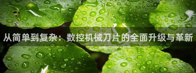 天辰娱乐44616