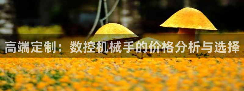 天辰娱乐新