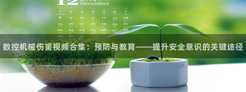 天辰娱乐网