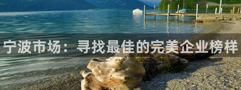 天辰娱乐输了