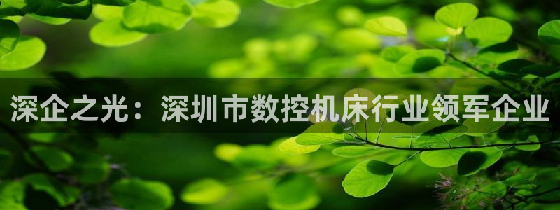 天辰娱乐平台测速