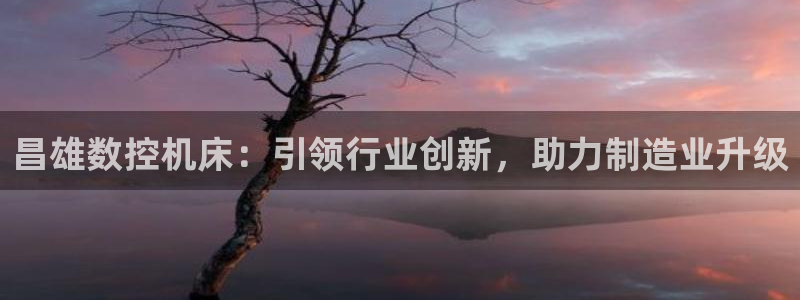 天辰娱乐1956