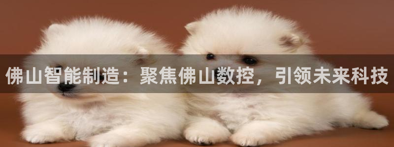 天辰娱乐元宝