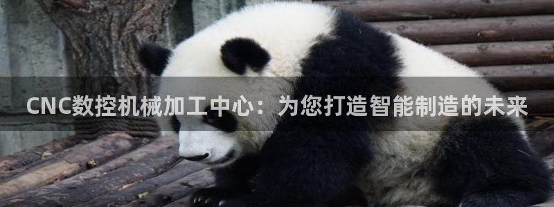 天辰娱乐557448