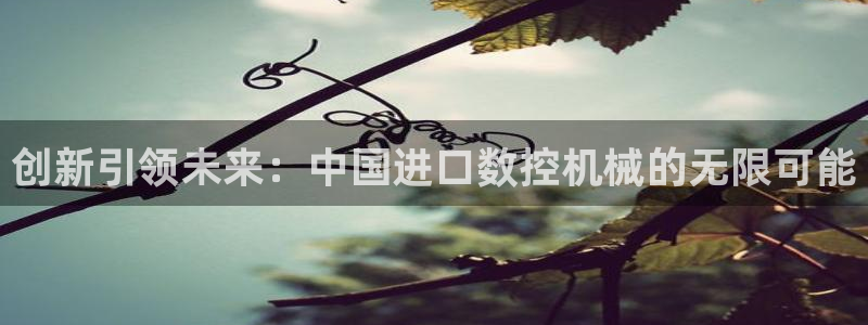 天辰娱乐维护