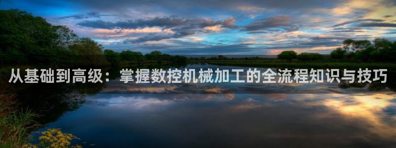 天辰娱乐 . 鱼刺