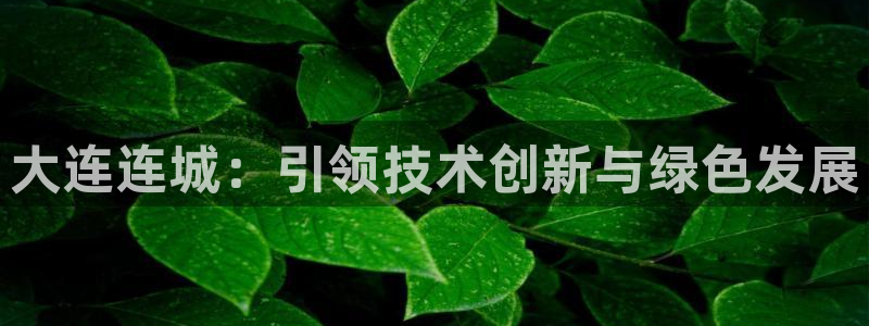 天辰娱乐直属