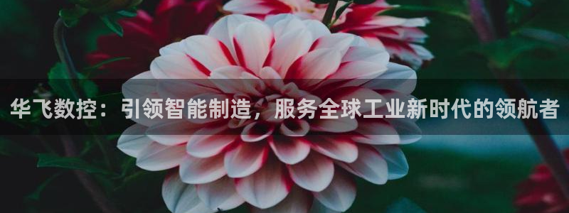 天富娱乐天辰娱乐