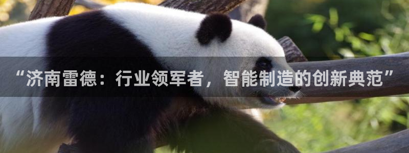 天辰娱乐平台地址在哪里