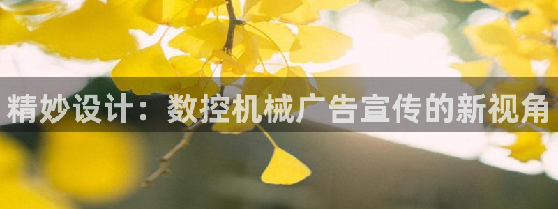 天辰娱乐平台注册