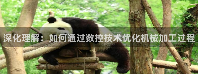 天辰娱乐首页：深化理解：如何通过数控技术优化机械加工过程