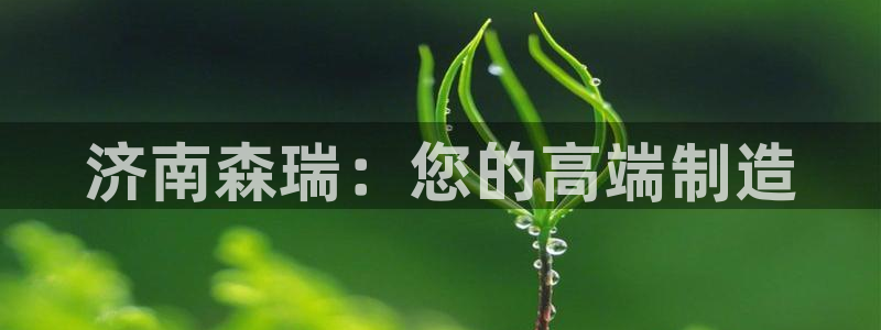 天辰娱乐平台安全吗：济南森瑞：您的高端制造