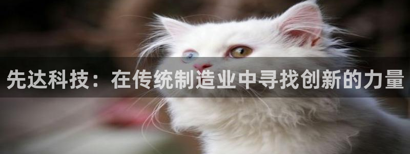 天辰平台娱乐