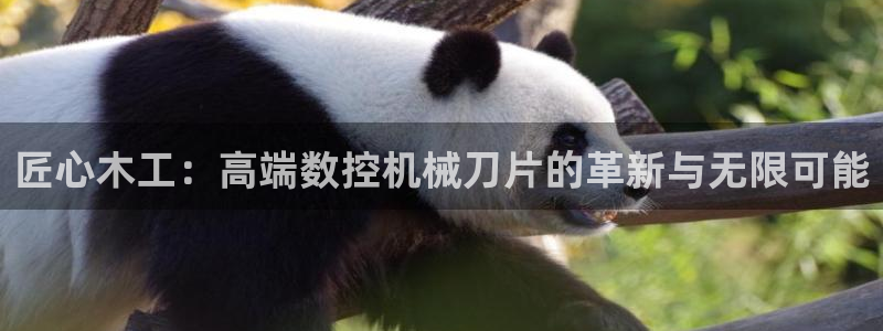 天辰娱乐棋牌：匠心木工：高端数控机械刀片的革新与无限可能