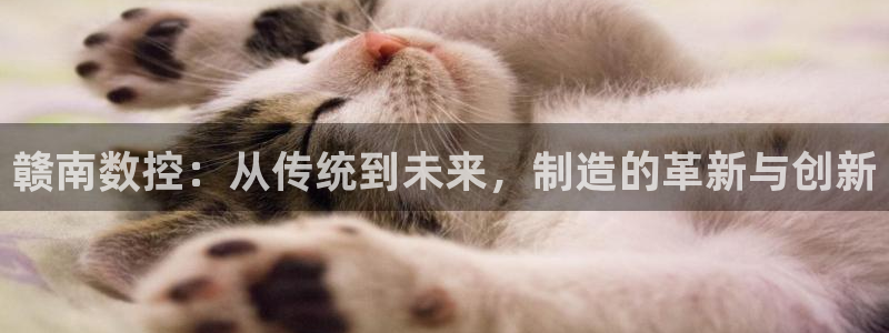 天辰娱乐登录