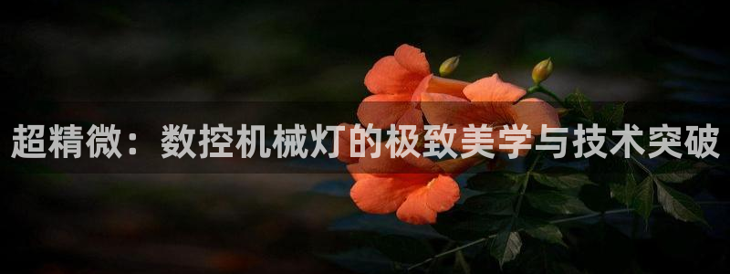 辰天娱乐