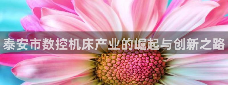 天辰娱乐app