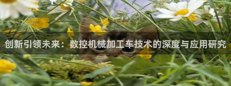大庆天辰娱乐