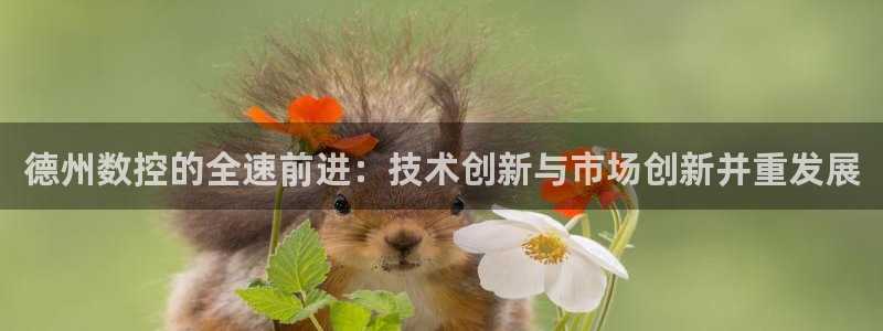 天辰娱乐输了