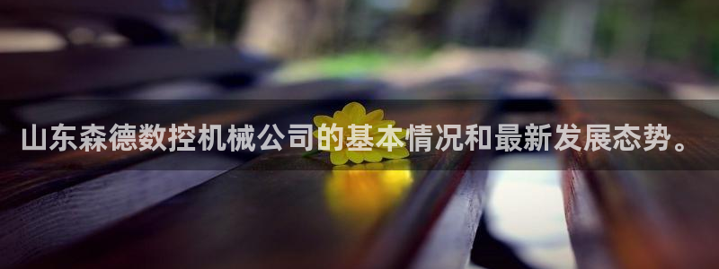 天辰娱乐元宝