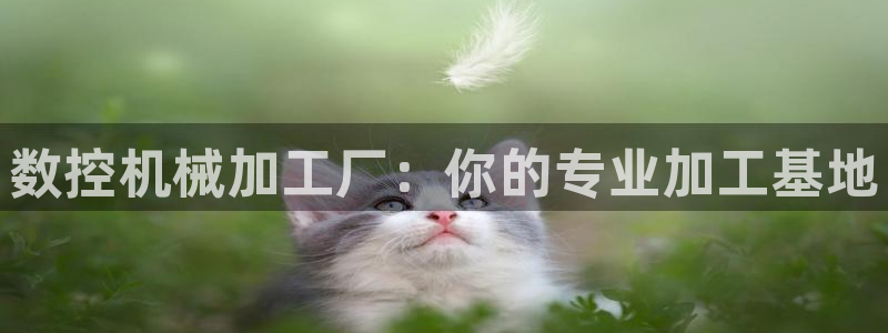 天辰娱乐信誉