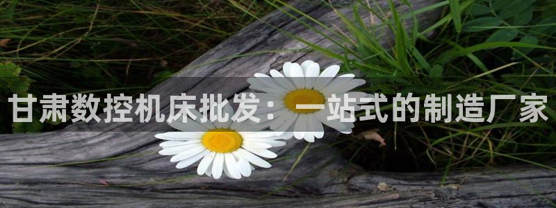 下载天辰娱乐:甘肃数控机床批发:一站式的制造厂家