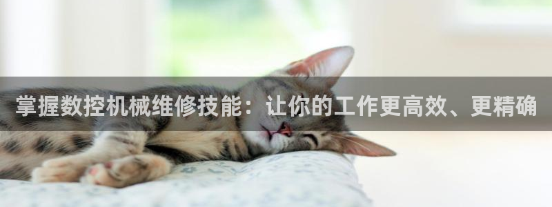 广东天辰娱乐